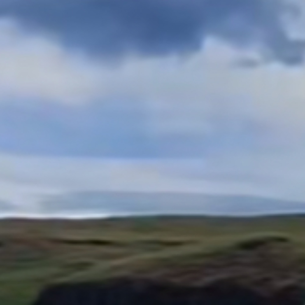 Meet your Posher, Flower